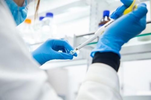 華熙生物趙燕 堅定的做好兩個研究,筑牢企業科技創新根基