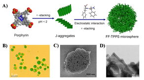 過(guò)程工程所等在自組裝生物分子材料研究上獲進(jìn)展